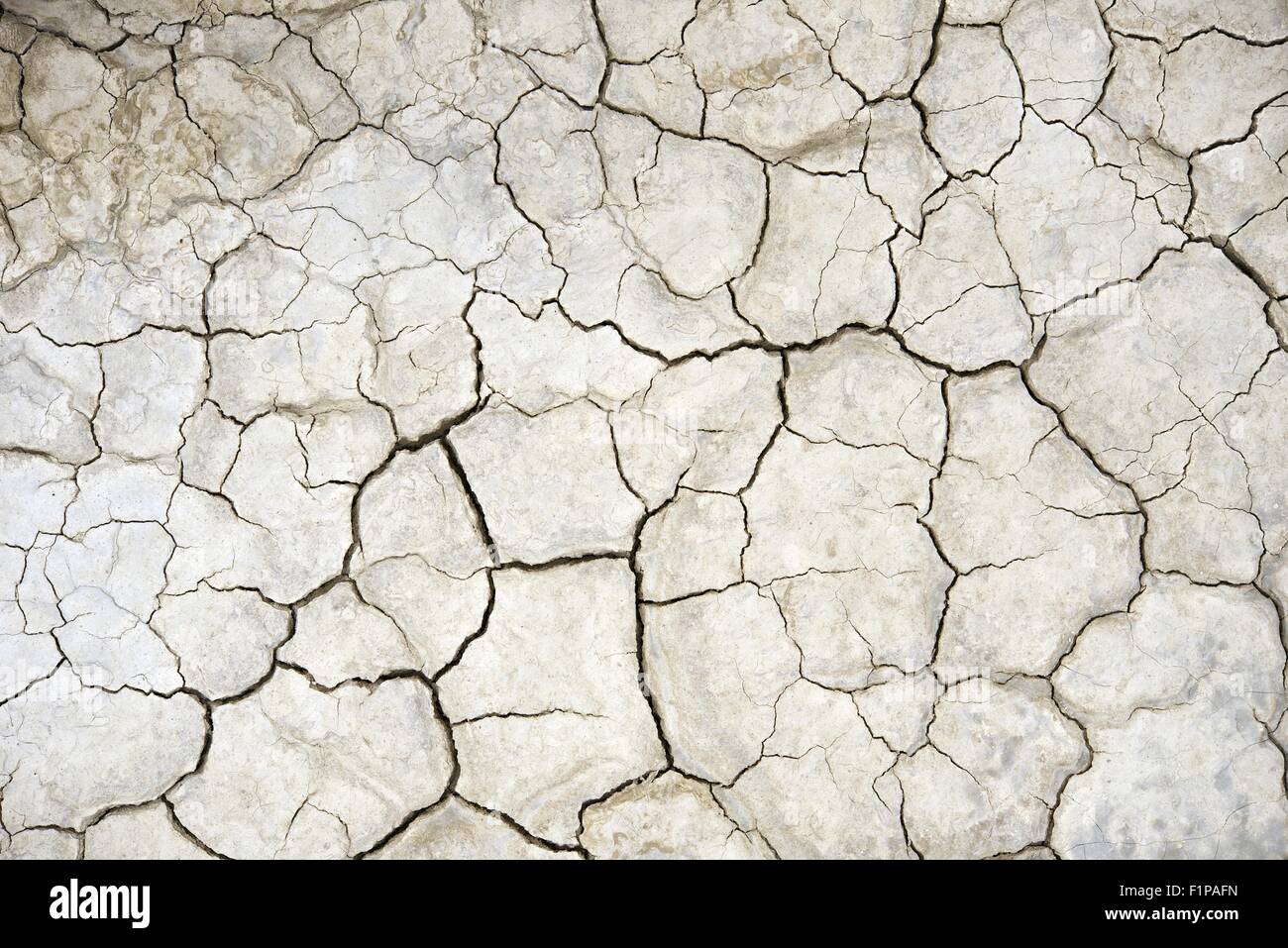 Terreni agricoli a secco - la siccità estrema. La stagione secca del tema. Natura raccolta di fotografie. Foto Stock