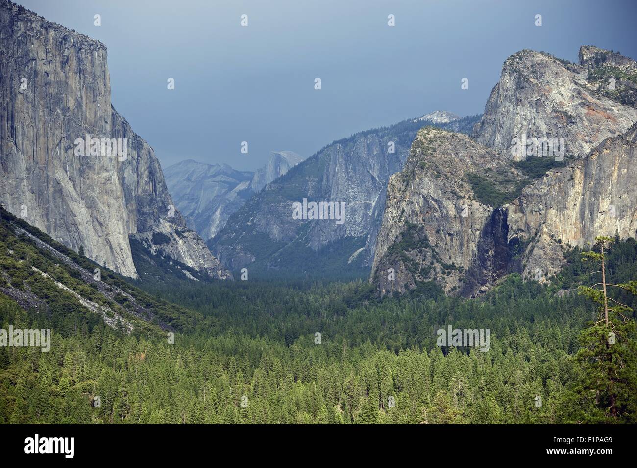 Il parco nazionale di Yosemite Valley, California, USA. Parco Nazionale di Yosemite / High Sierra - Panorama della valle. Natura raccolta di fotografie. Foto Stock