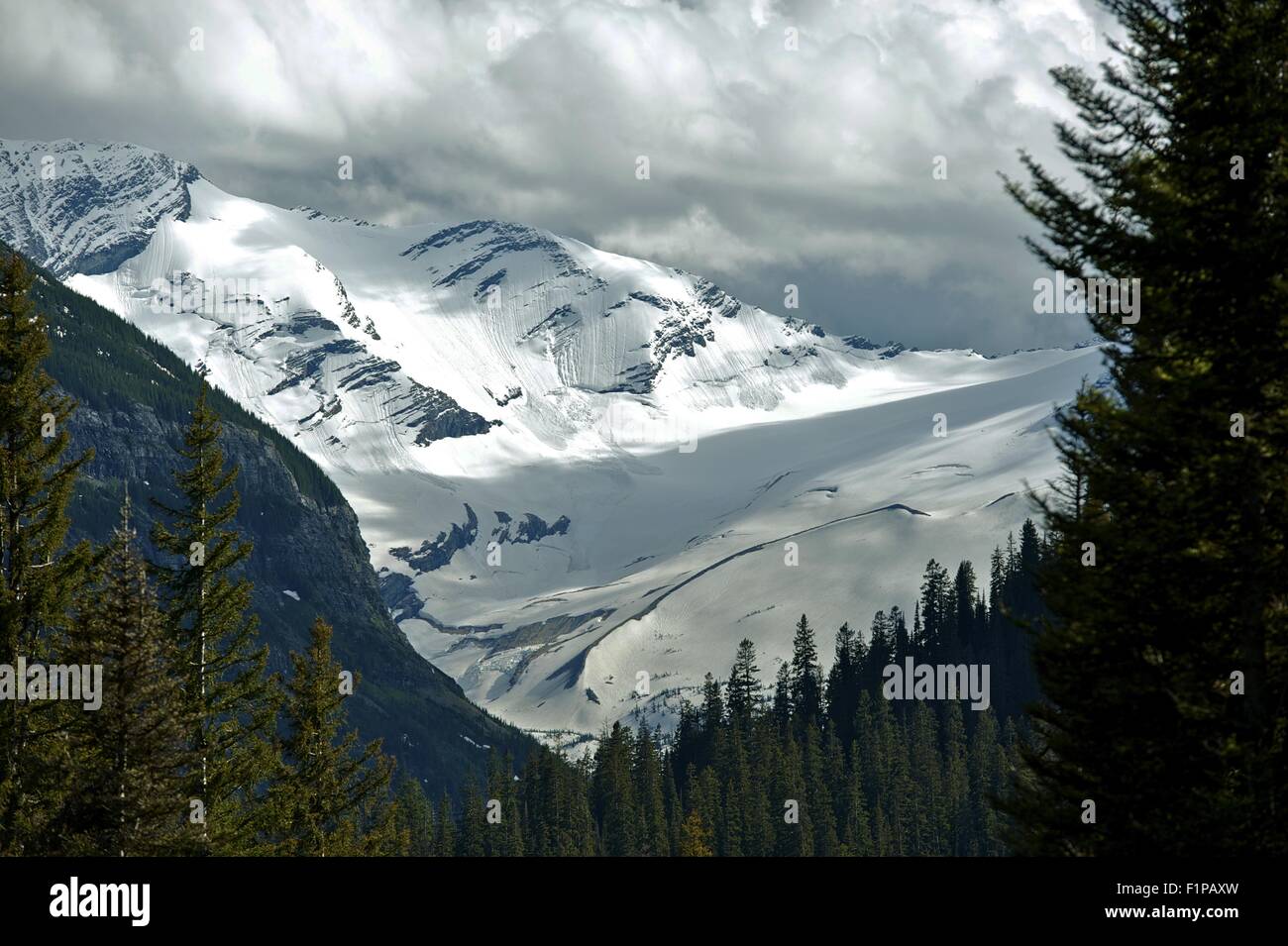 Montana ghiacciai - Parco Nazionale di Glacier, Montana, USA. Montagne rocciose. Natura raccolta di fotografie. Foto Stock
