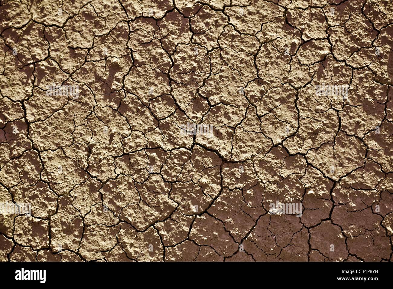 Terreno crepe sullo sfondo - incrinato Badlands terreno. La natura dello sfondo della foto. Foto Stock