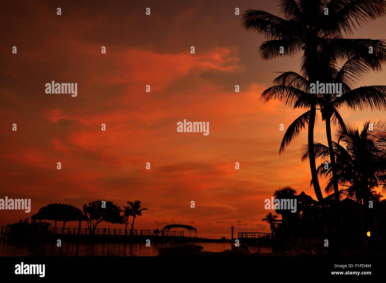 Tramonto tropicale - Orange Sky, Oceano Atlantico e palme. Rilassante tema tropicale Foto Stock