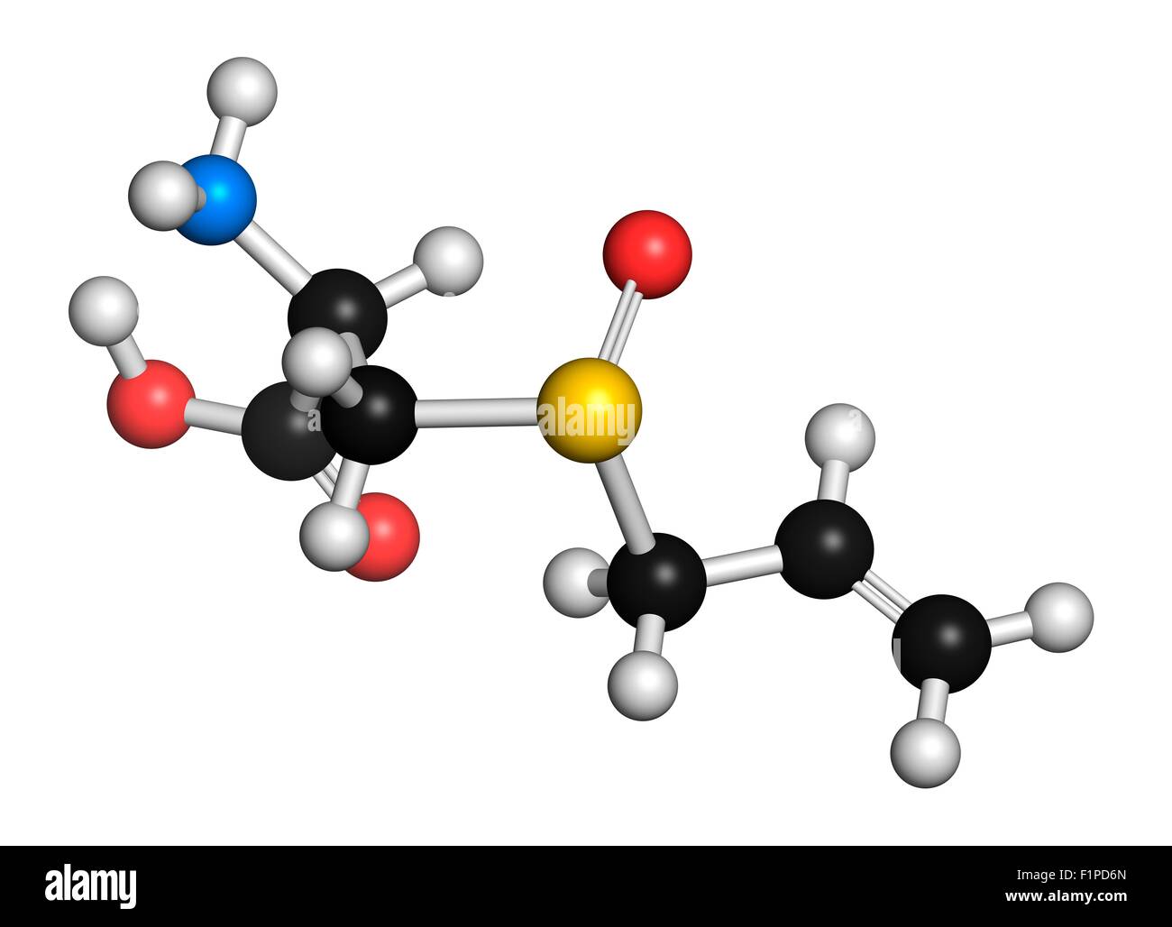 Alliin aglio molecola atomi sono rappresentati come sfere con i tradizionali colori: idrogeno (bianco) il carbonio (nero) di ossigeno Foto Stock