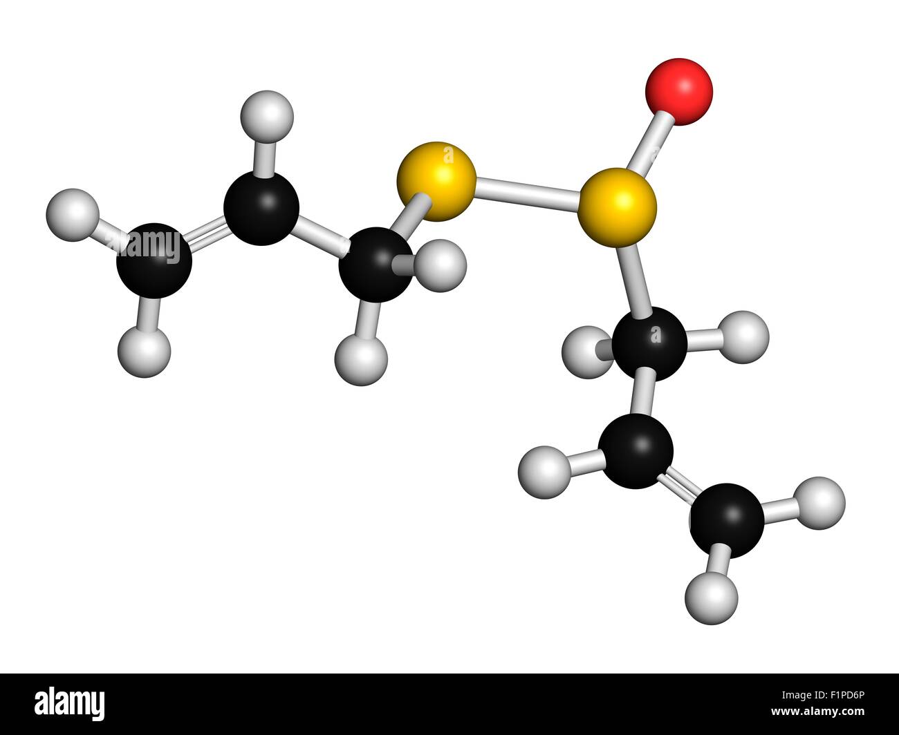Aglio Allicin molecola formata da alliin dall'enzima alliinase ritiene di avere un certo numero di effetti positivi sulla salute atomi Foto Stock