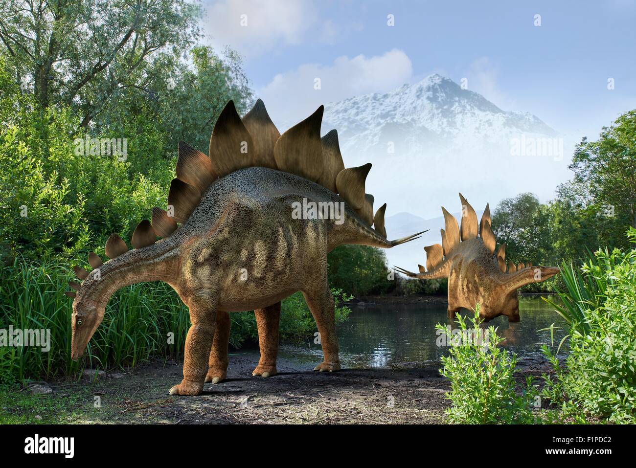Stegosaur dinosauri, illustrazione del computer. Foto Stock