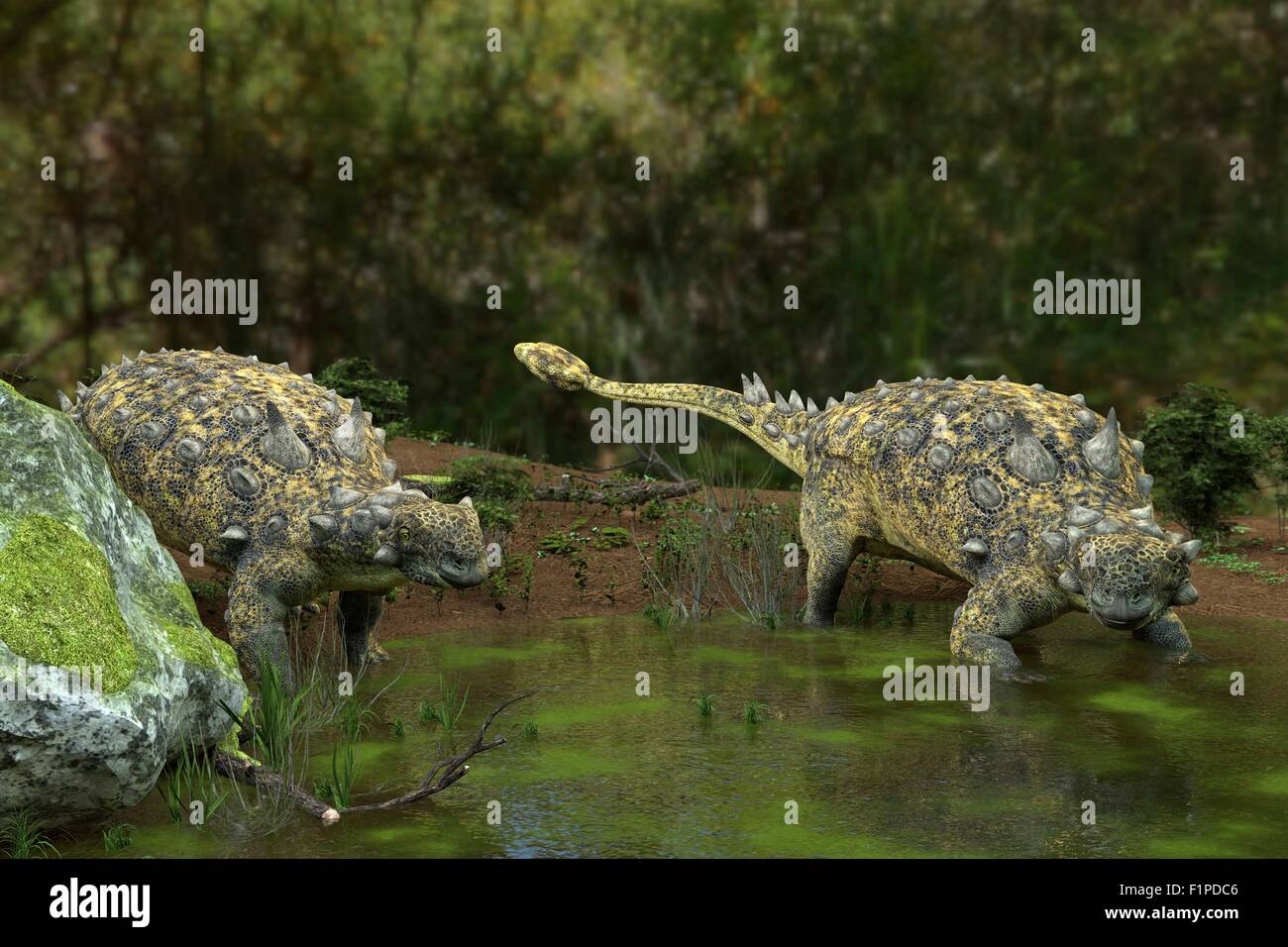 Dinosauri Euoplocephalus a un laghetto, illustrazione del computer. Foto Stock