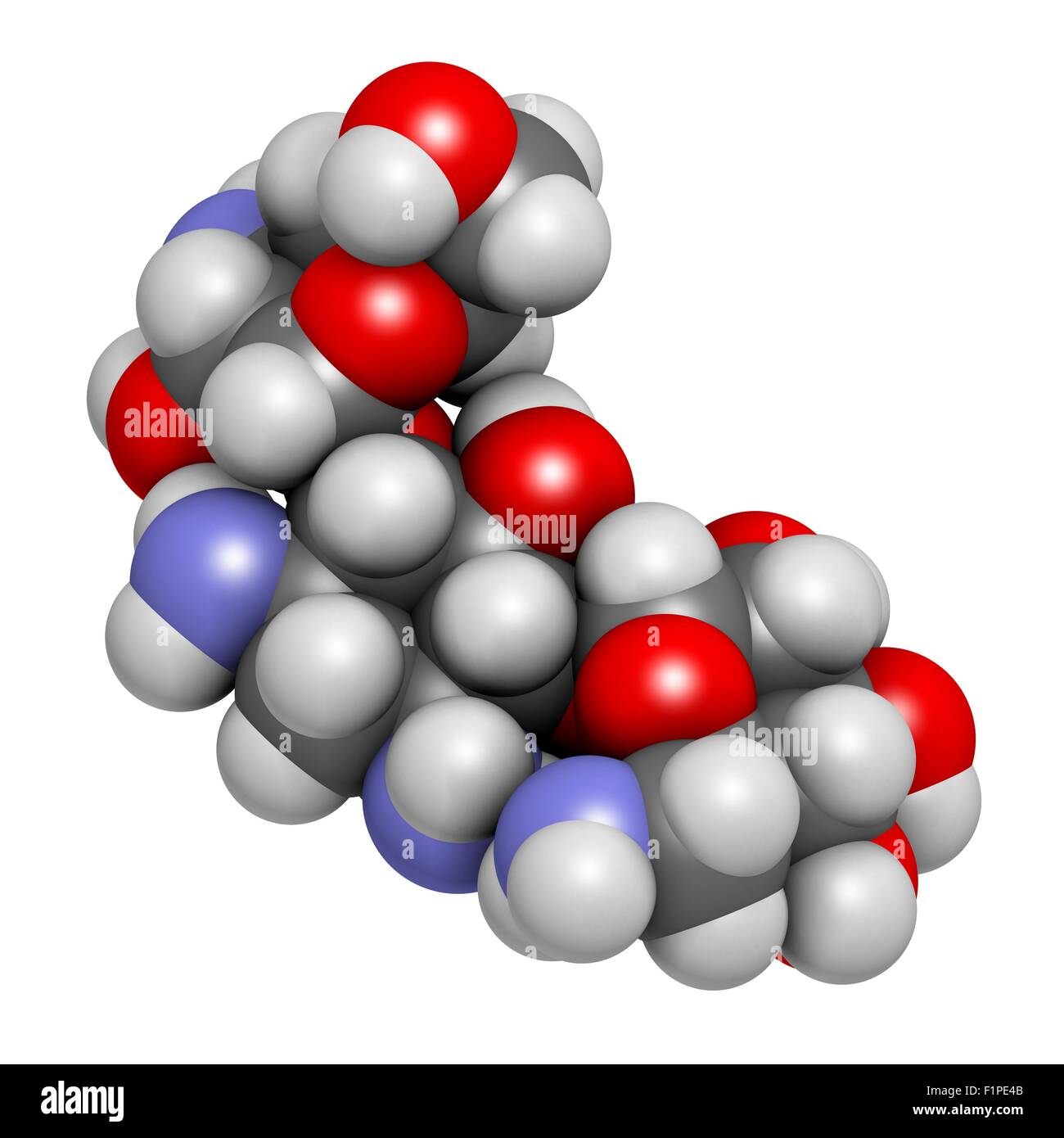 Antibiotico kanamicina molecola di farmaco (amminoglicoside) atomi sono rappresentati come sfere con i tradizionali colori: idrogeno Foto Stock