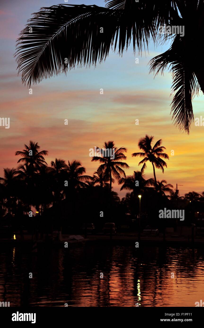 Tramonto tropicale. Isola esotica e palme in Sunset. Foto Stock