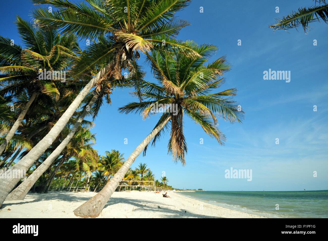Key West Florida. Spiaggia principale, South Beach. Stati Uniti d'America Foto Stock