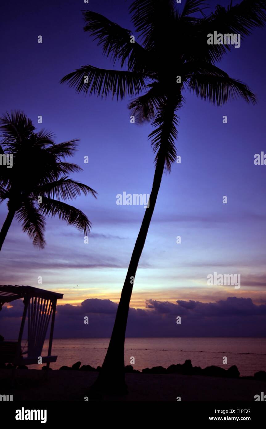 In Islamorada Sunrise. Vista oceano Sunrise con Palm Tree. Foto Stock