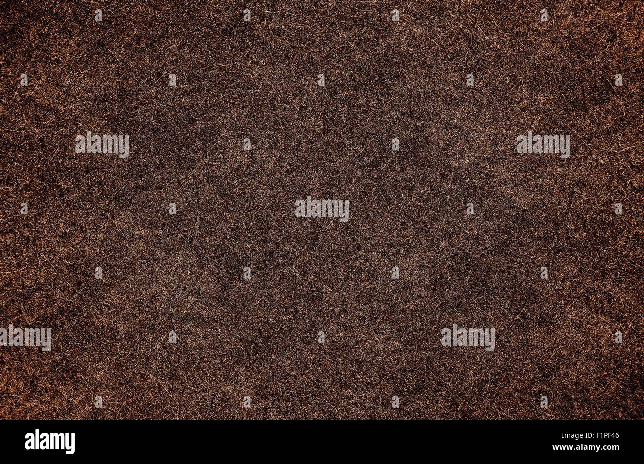 Brown astratta Hi-Resolution organici Texture. Lo stile di sughero Browny Texture. Foto Stock