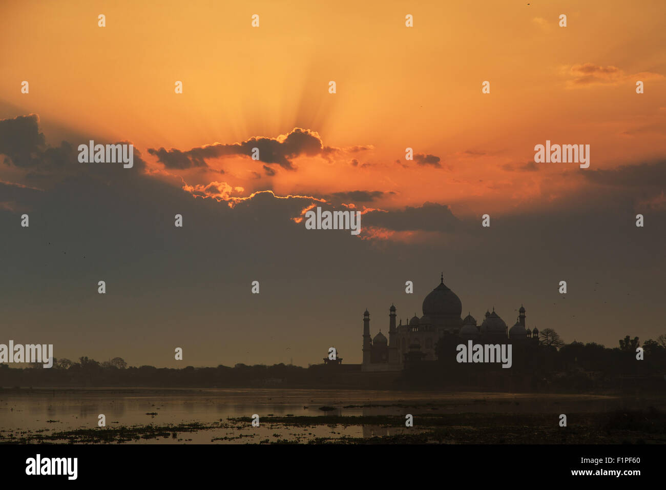 Un sunrise vista del Taj Mahal di Agra, India. Foto Stock