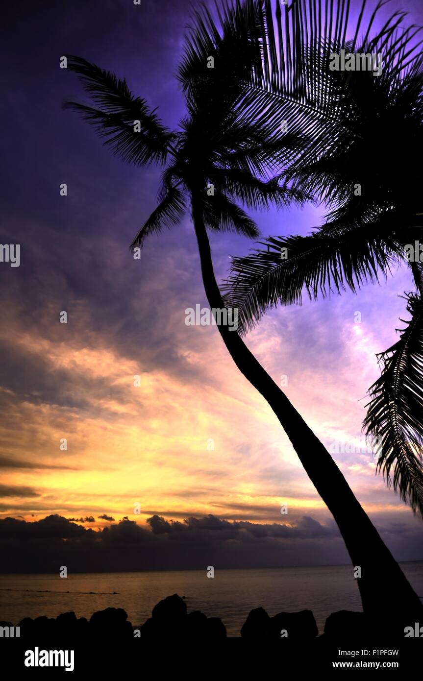 La HDR tramonto tropicale con palme e vista oceano. Foto Stock