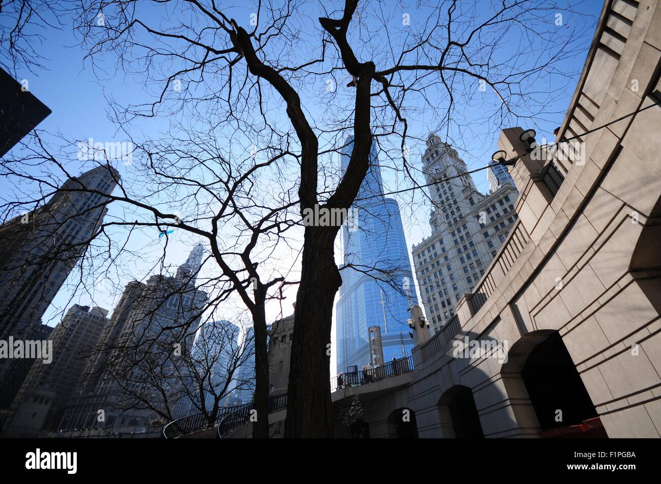 Il centro di Chicago, Illinois, Stati Uniti d'America. Ampio angolo di foto. Chicago Riverwalk Foto Stock