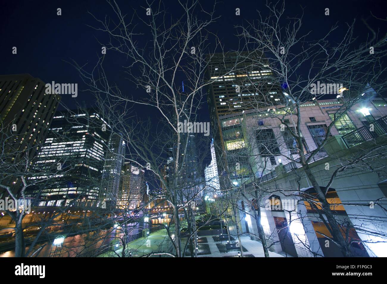 La città di Chicago, Illinois, Stati Uniti d'America. Moderna città americana - Chicago, IL by night. Illuminazioni della citta'. Orizzontale ad angolo ampio foto Foto Stock