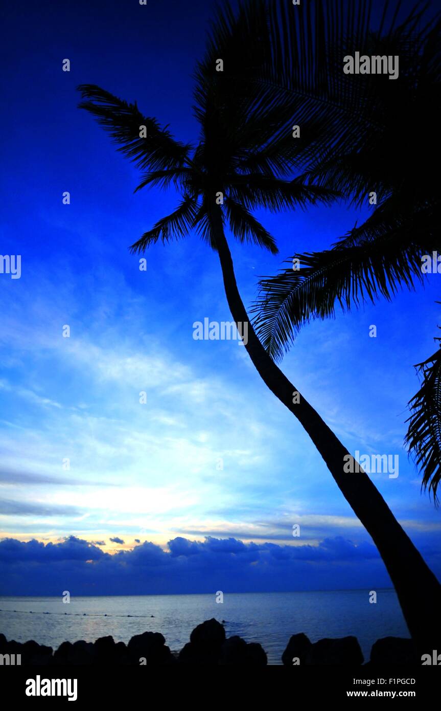 Tropical Sunrise. La mattina presto sulla spiaggia tropicale. Ocean Front. Forme delle Palme. Tema di destinazione. Foto Stock