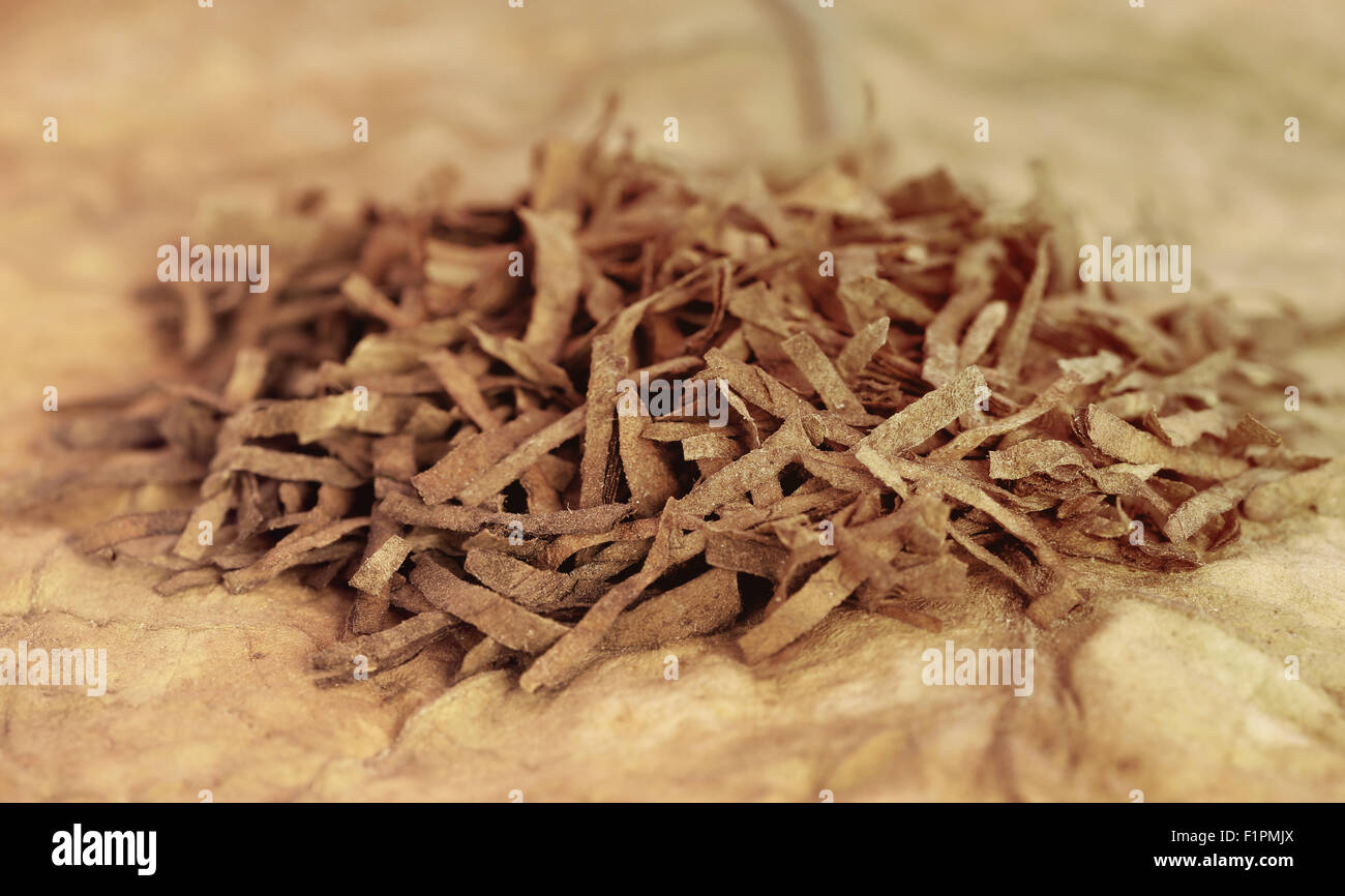 Asciugare le foglie di tabacco per la realizzazione di sigaretta Foto Stock