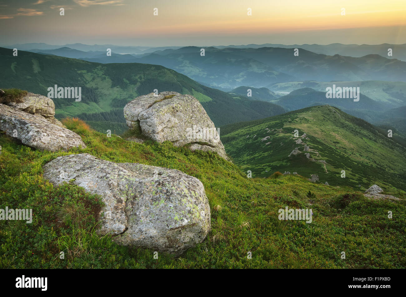 Paesaggio di montagna. Composizione della natura. Foto Stock