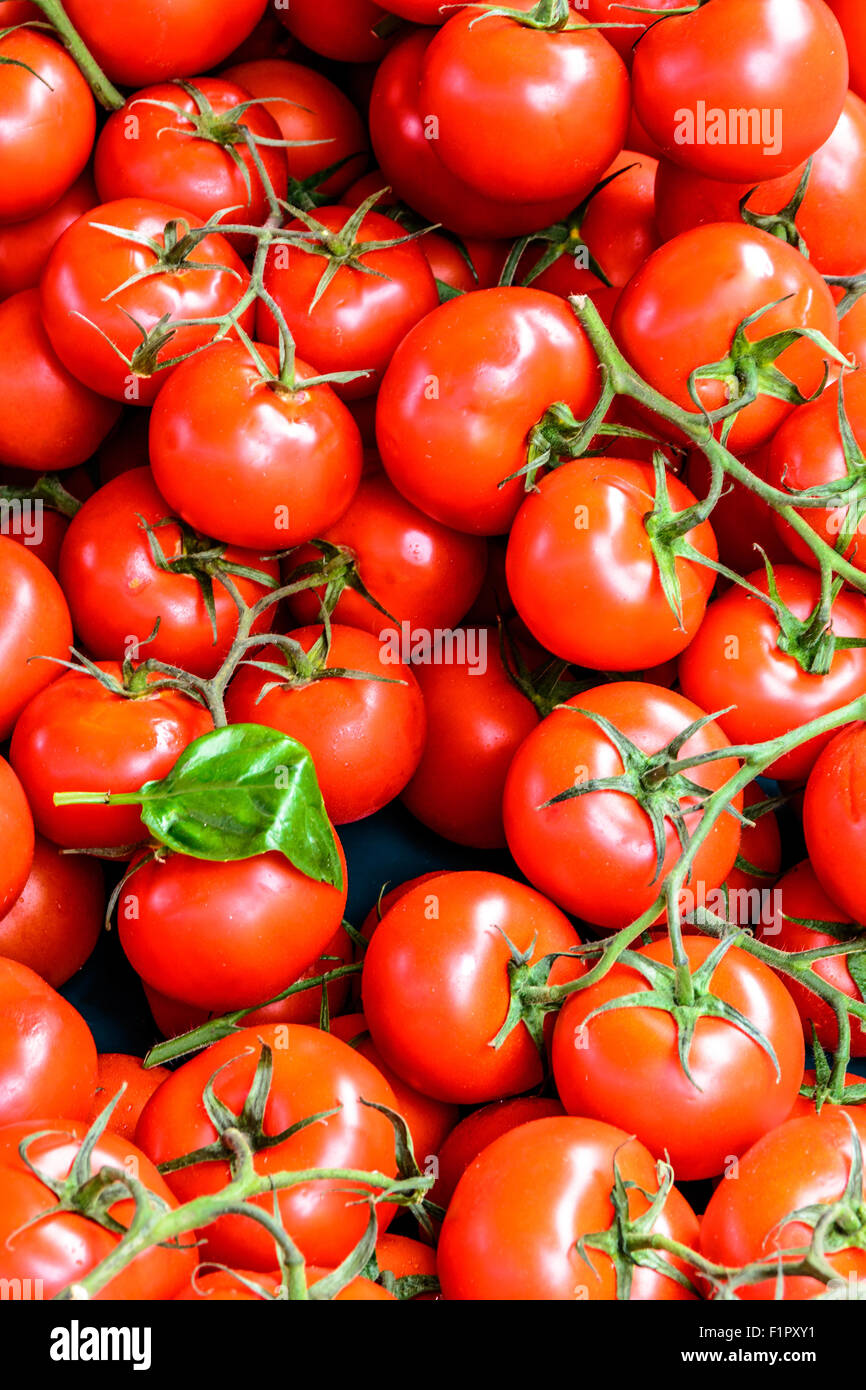 Little Red pomodori sul mercato della frutta fresca in Francia Foto Stock