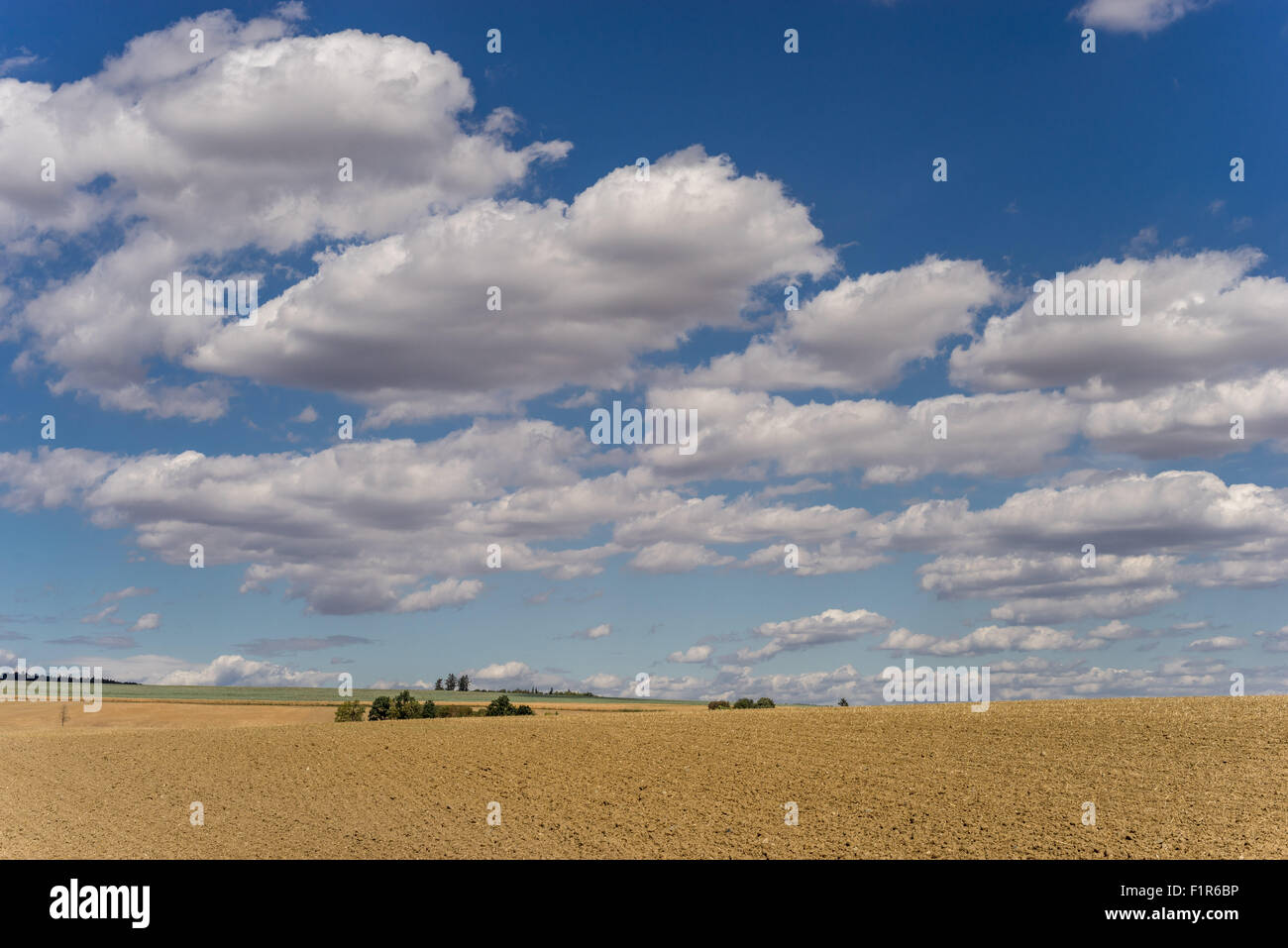 Il Cumulus bianche nuvole nel cielo blu su campo arato Bassa Slesia Polonia Foto Stock