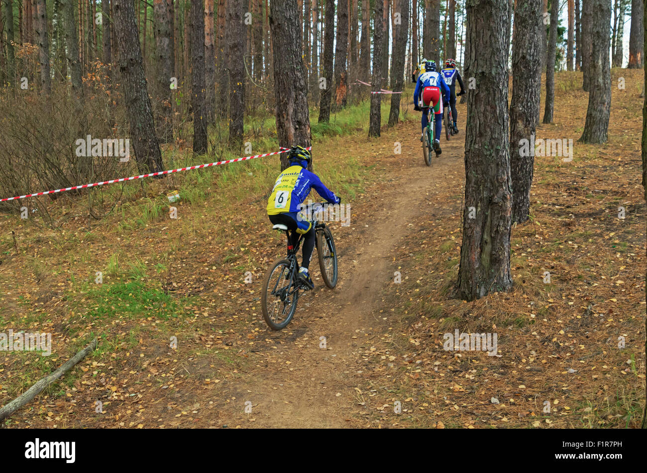 La Repubblica della Bielorussia campionato di cross-country ciclismo 19.10. 2014 - Il percorso della foresta. Gli uomini del ciclo di fase di gara. Foto Stock