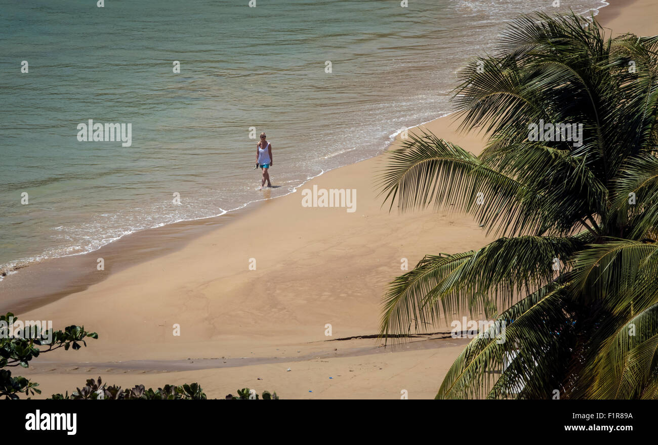 Giovane donna cammina lentamente attraverso il bordo dell'acqua a Castara beach, dominato da grandi palme, Castara, Tobego, Caraibi Foto Stock Giovane donna cammina lentamente attraverso il bordo dell'acqua a Castara beach, dominato da grandi palme, Castara, Tobego, Caraibi Foto Stock
