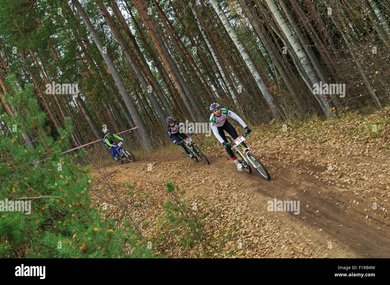 La Repubblica della Bielorussia campionato di cross-country ciclismo 19.10. 2014 - Il percorso della foresta. Gli uomini del ciclo di fase di gara. Foto Stock