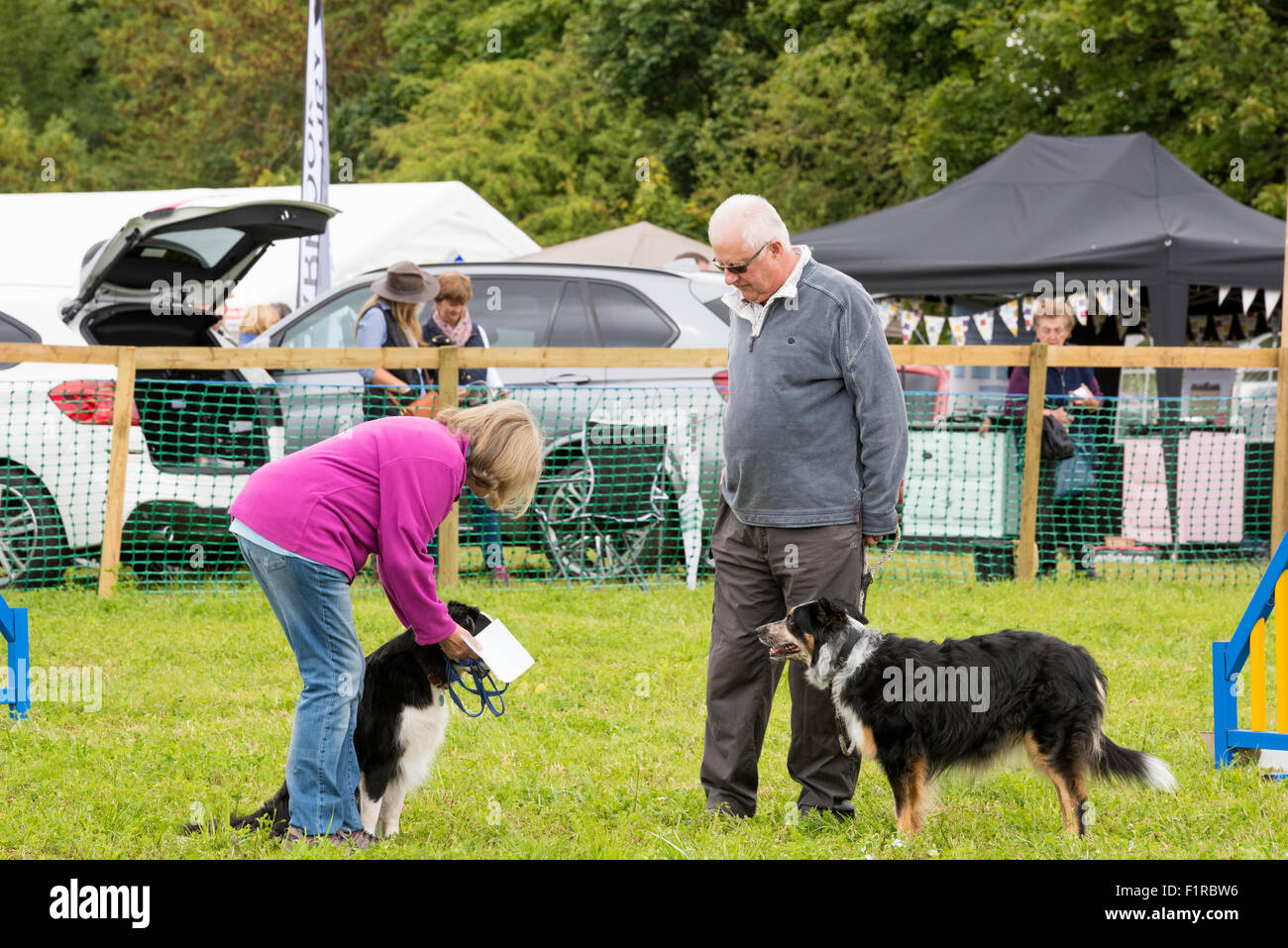 Un cane di agilità della concorrenza a Beckbury Show 2015 Shropshire REGNO UNITO Foto Stock