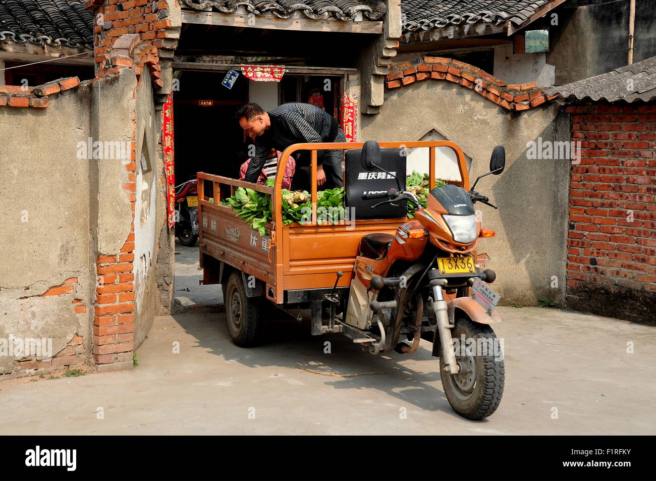 Pengzhou, Cina : agricoltore cinese il caricamento di fresco verdure raccolte in un motociclo carrello nella parte anteriore della sua casa colonica Foto Stock