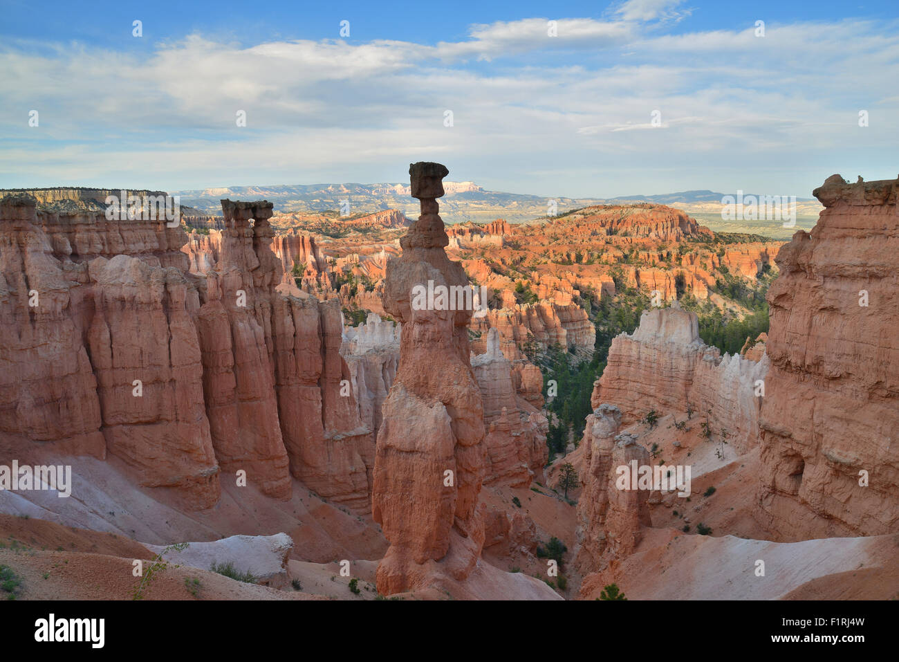 Vista del Queen's Garden da Navajo Loop Trail al di sotto del punto di tramonto nel Parco Nazionale di Bryce Canyon in Utah sudoccidentale Foto Stock