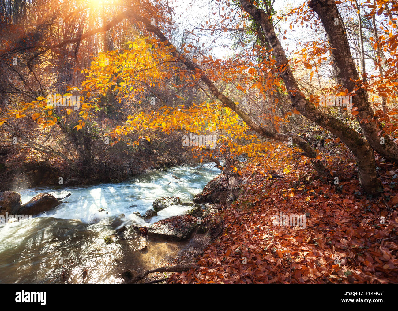 Bella foresta di autunno con il fiume in Crimea montagne al tramonto. Sullo sfondo della natura Foto Stock