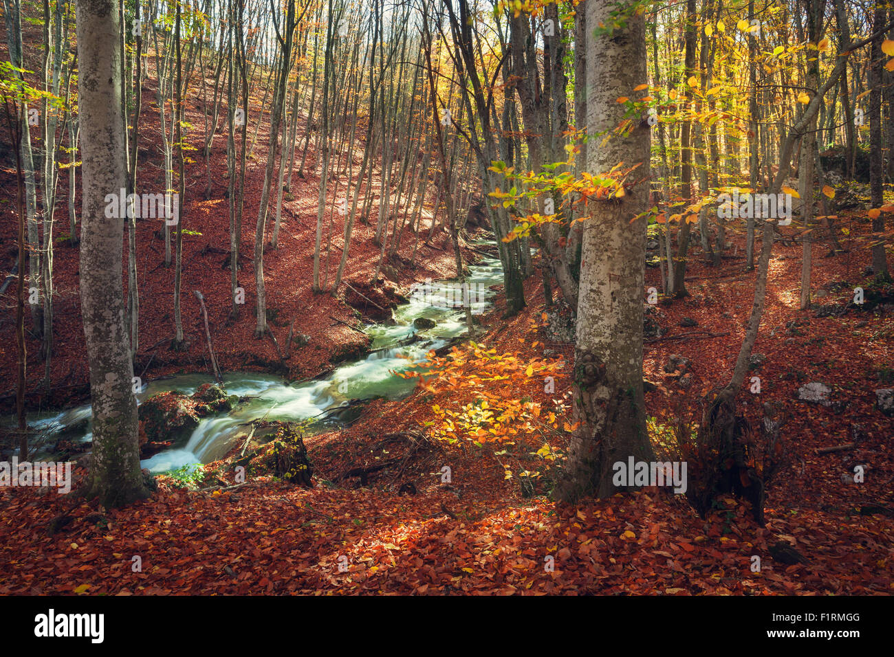Bella foresta di autunno con il fiume in Crimea montagne al tramonto. Sullo sfondo della natura Foto Stock