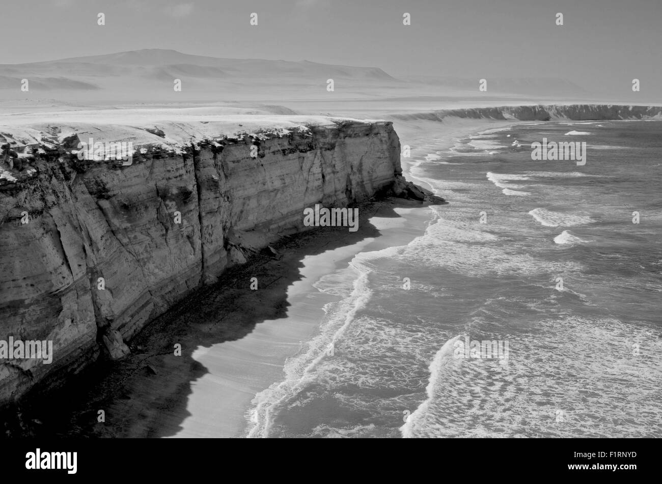 Paracas riserva nazionale, Ica, Perù. Foto Stock