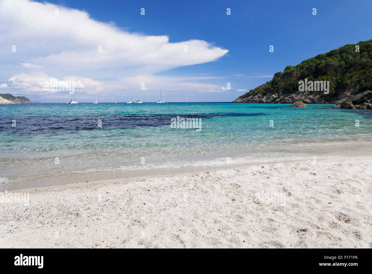 Spiaggia di Fetovaia, Isola d'Elba, Provincia di Livorno, Toscana, Italia, Europa Foto Stock