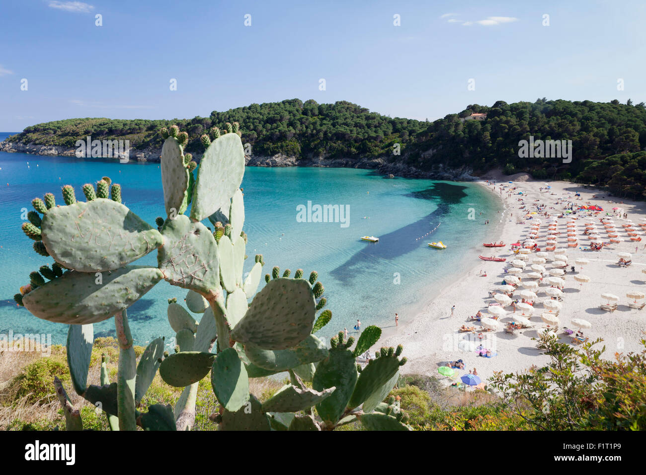 Spiaggia Di Fetovaia Isola Delba Provincia Di Livorno