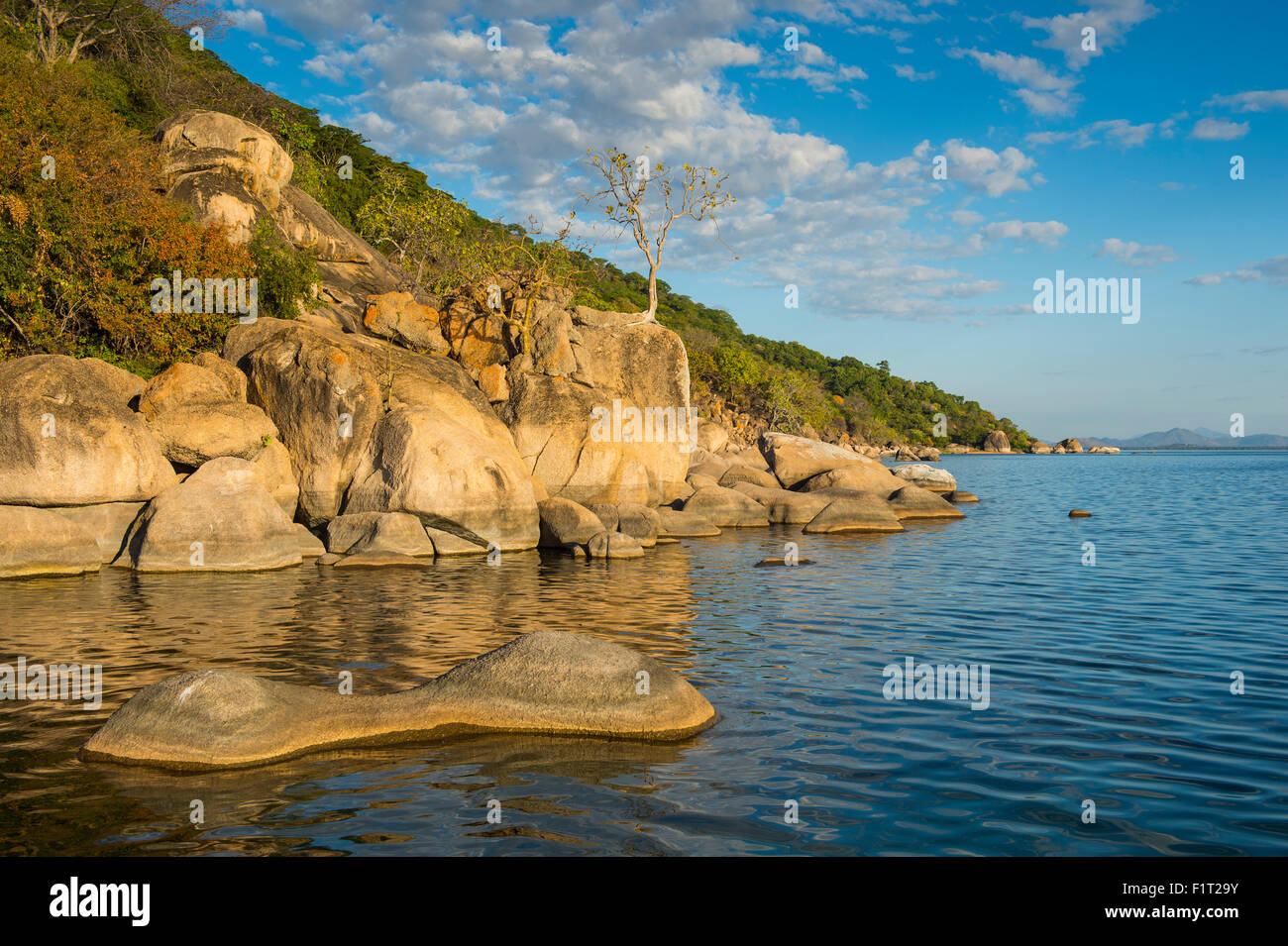 Punto di lontra al tramonto, Cape Maclear, il Parco Nazionale del Lago Malawi, Sito Patrimonio Mondiale dell'UNESCO, Malawi, Africa Foto Stock