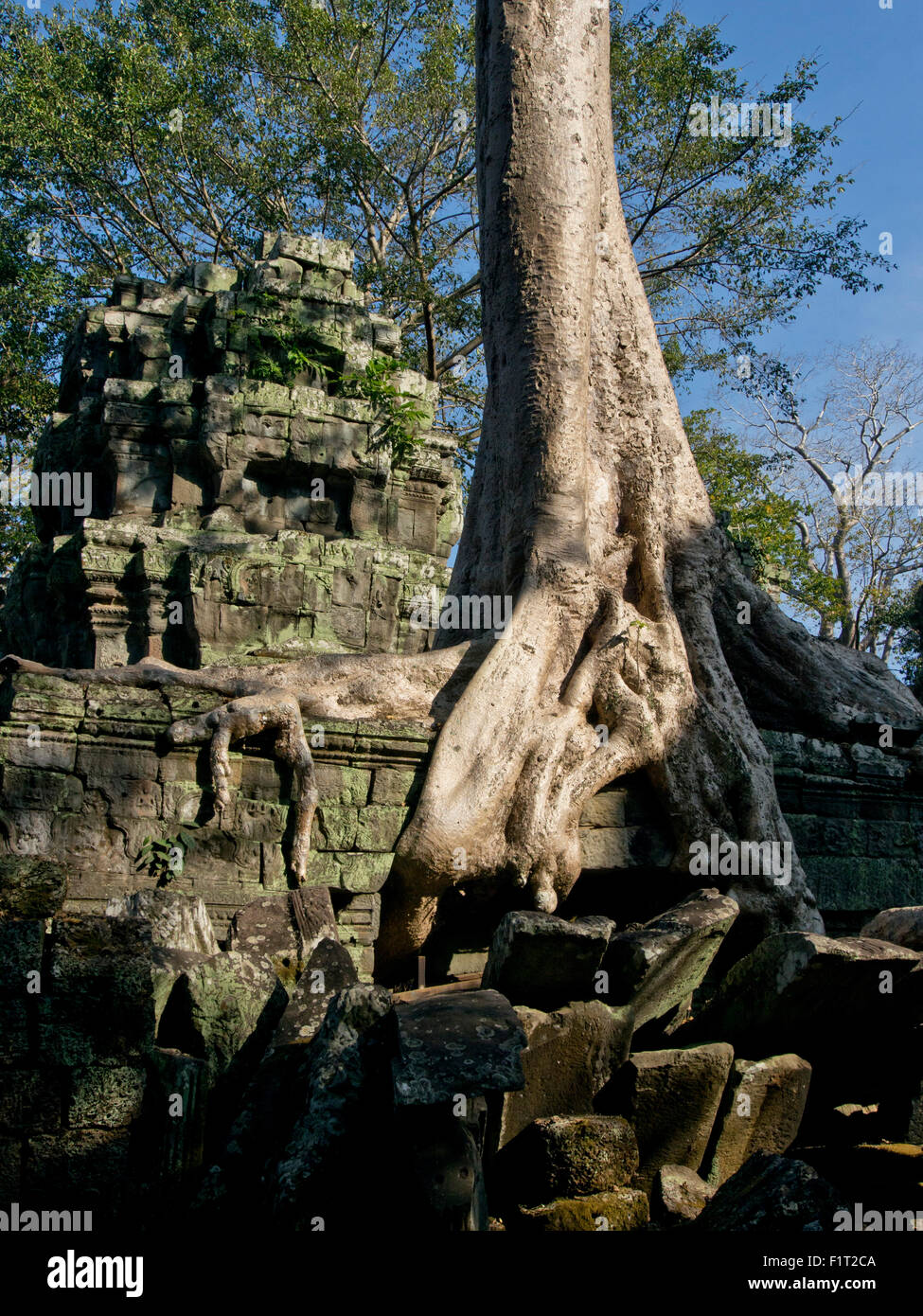 Angkor Wat parco archeologico, Sito Patrimonio Mondiale dell'UNESCO, Siem Reap, Cambogia, Indocina, Asia sud-orientale, Asia Foto Stock