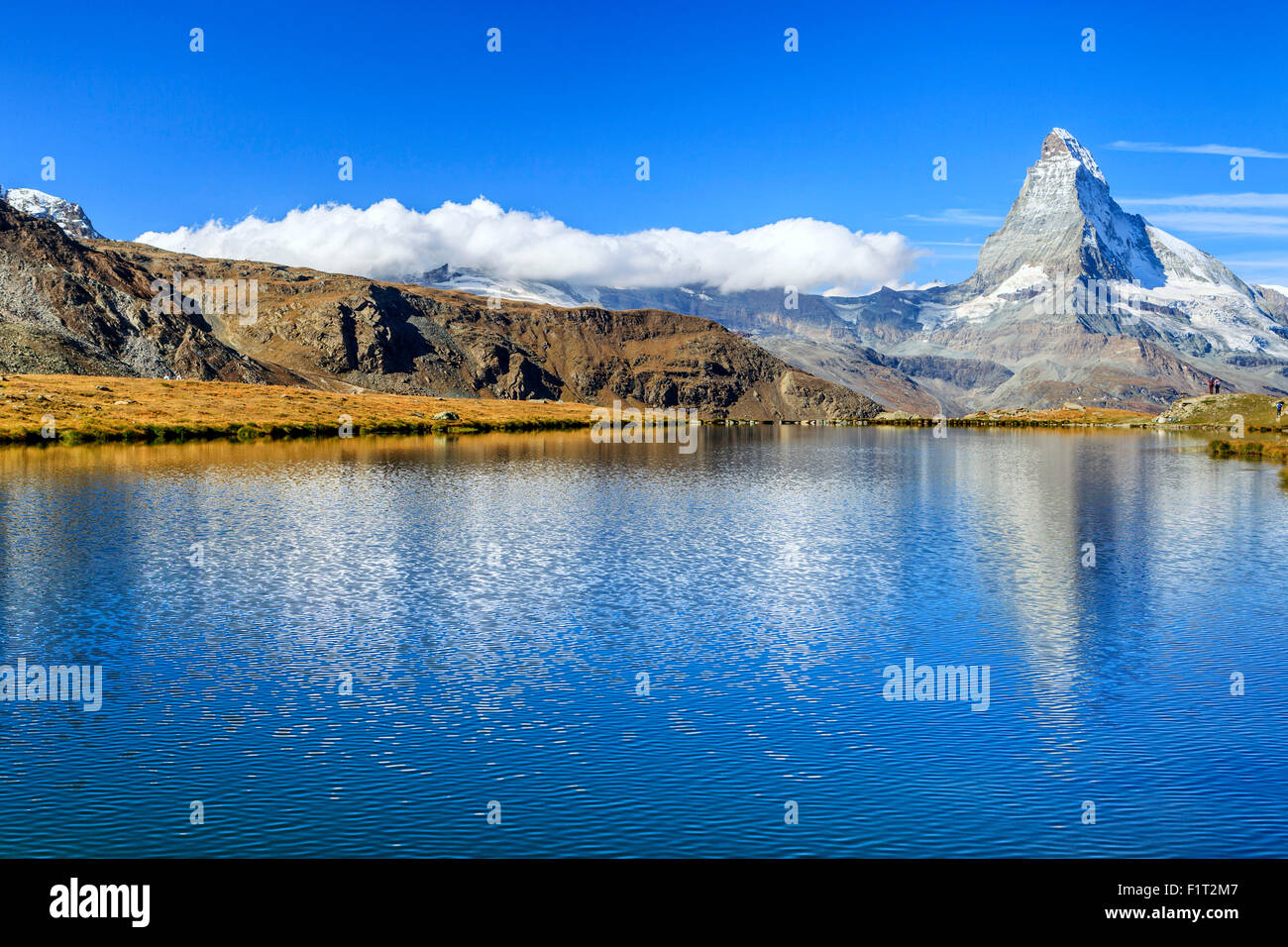 Il Cervino riflesso in Stellisee, Zermatt, Canton Vallese, Pennine, alpi svizzere, Svizzera, Europa Foto Stock
