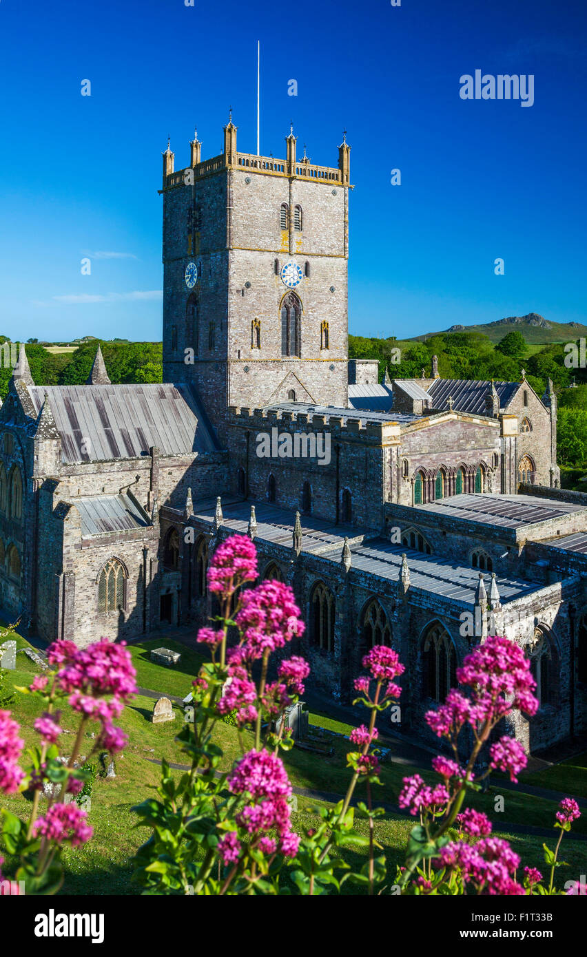St Davids Cathedral, Pembrokeshire, Wales, Regno Unito, Europa Foto Stock
