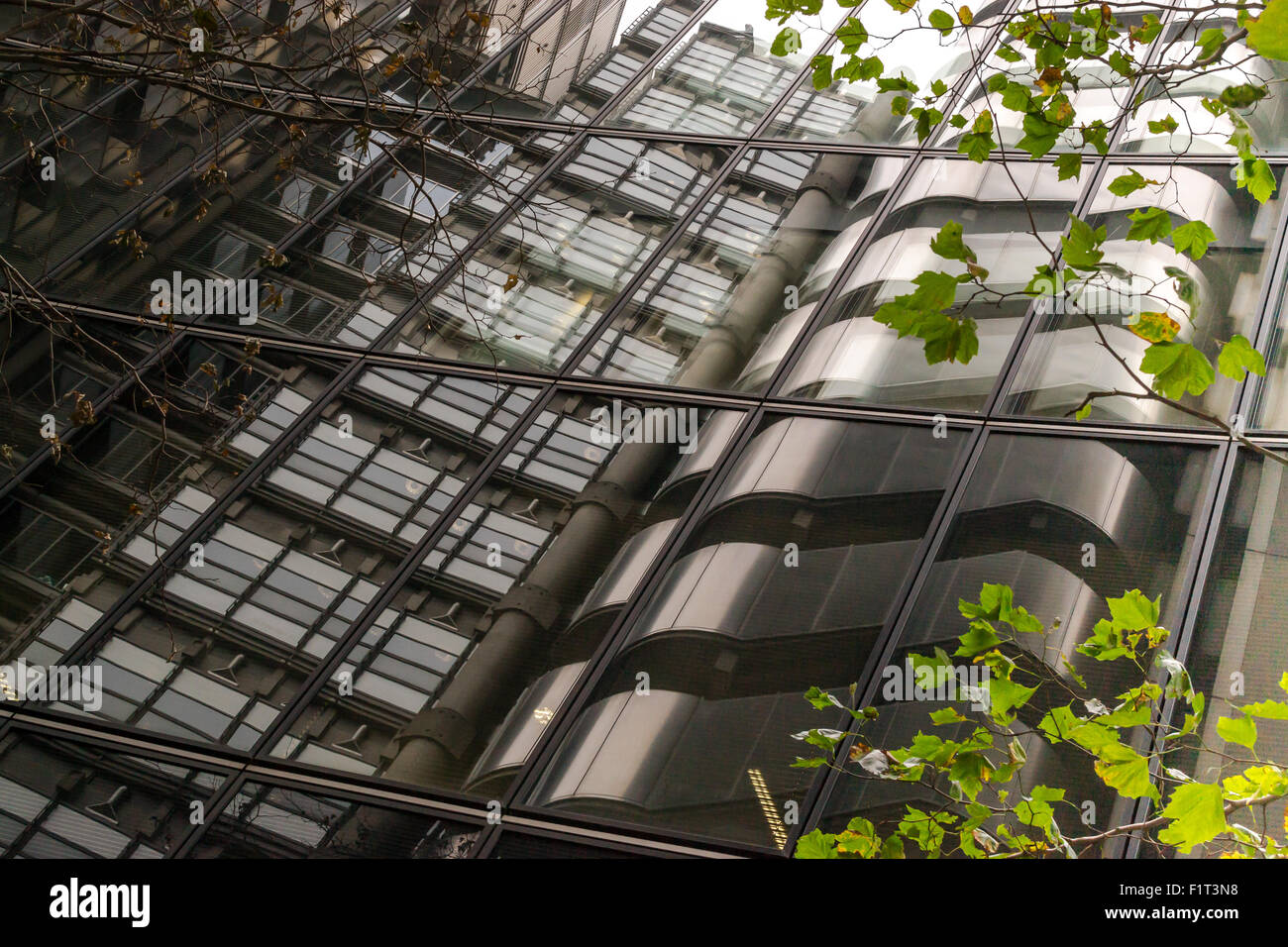 Il futuristico edificio moderno con astratta curvando la costruzione di finestre di vetro con foglie verdi in primo piano con nessuno visibile Foto Stock