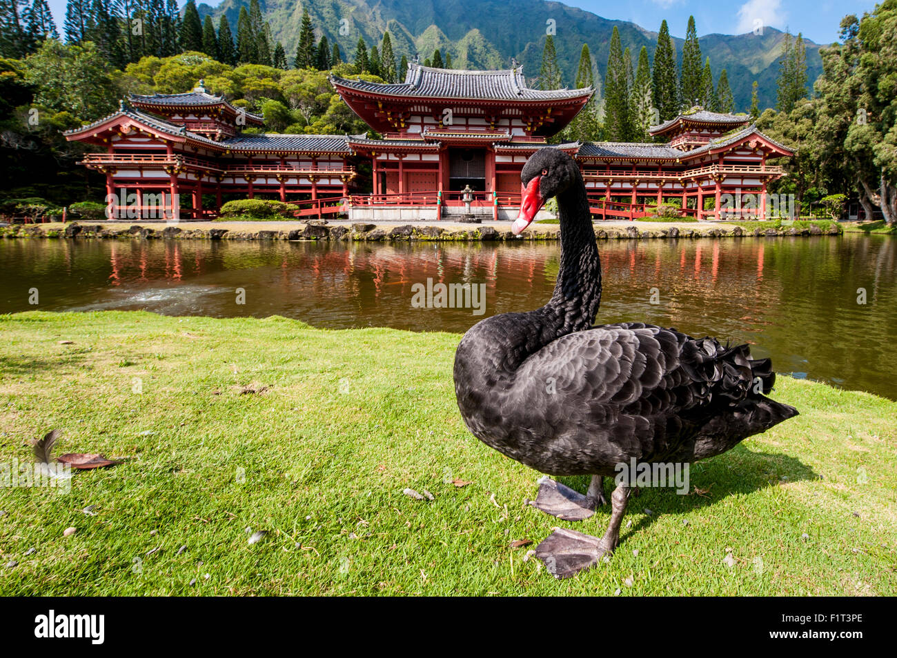 Tempio Byodo-In, Valle dei Templi, Kaneohe, Oahu, Hawaii, Stati Uniti d'America, il Pacifico Foto Stock