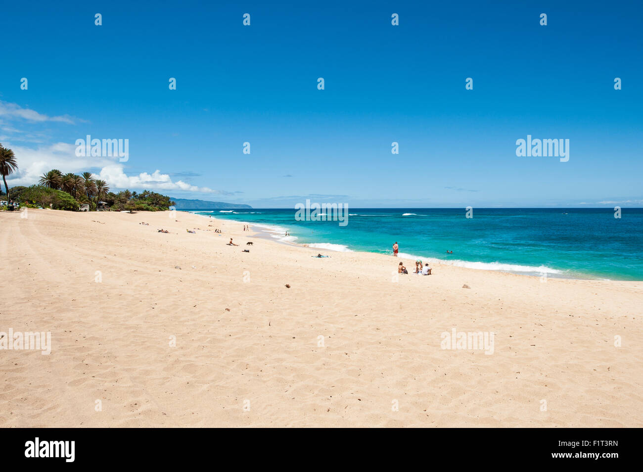 Sunset Beach, North Shore Oahu, Hawaii, Stati Uniti d'America, il Pacifico Foto Stock