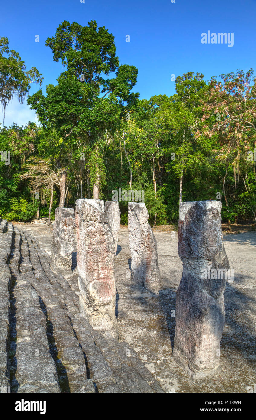 Stele nella parte anteriore della struttura 2, Calakmul archeologici Maya, Sito Patrimonio Mondiale dell Unesco, Campeche, Messico, America del Nord Foto Stock