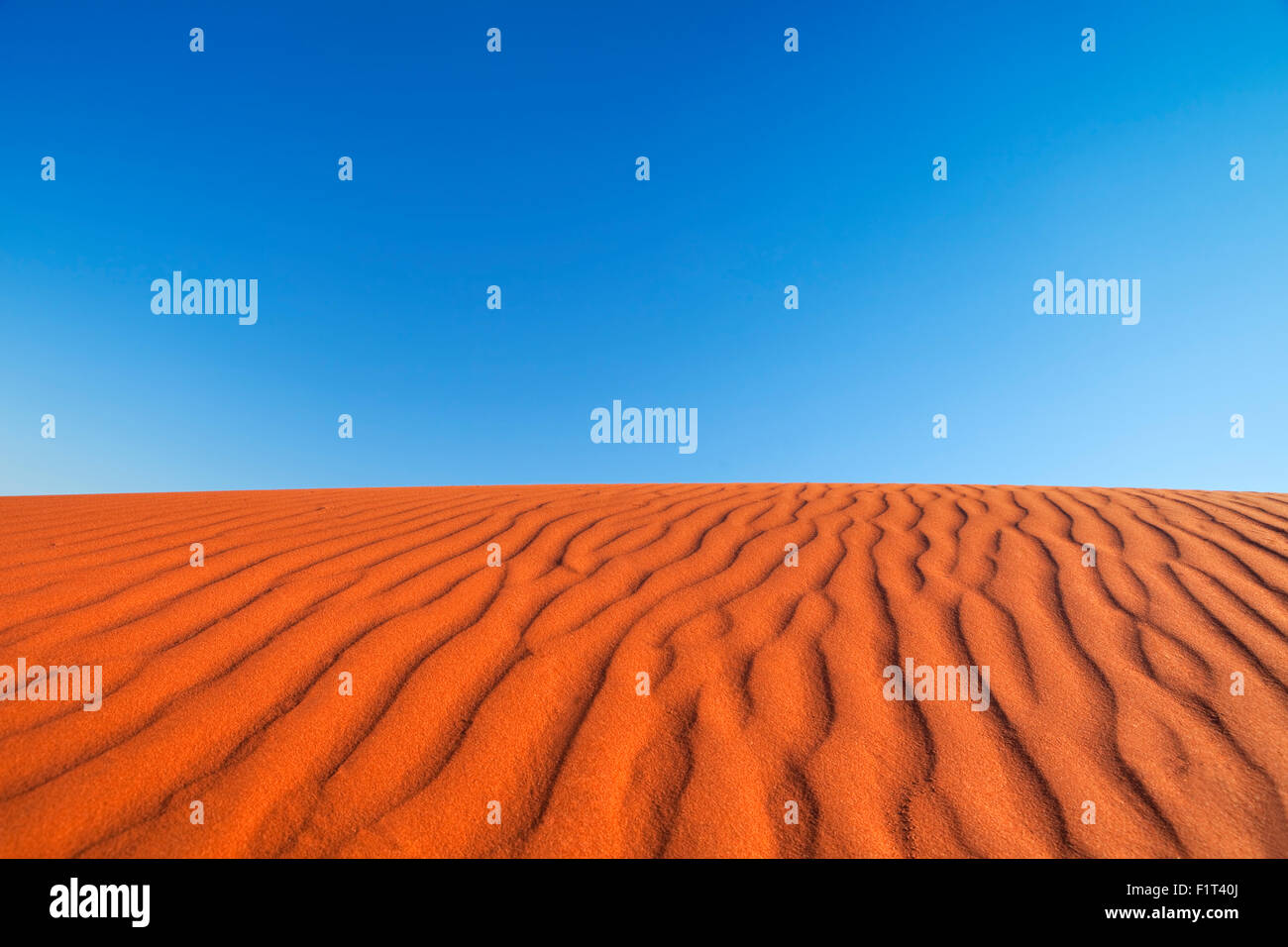 Dettaglio delle fluttuazioni in un rosso duna di sabbia in un giorno chiaro. Fotografato nel Territorio del Nord in Australia. Foto Stock