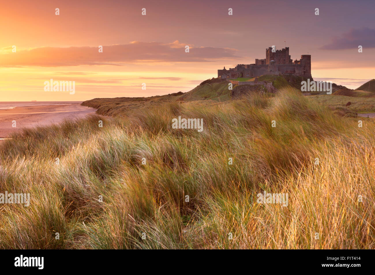 Sunrise oltre le dune a Bamburgh Castle in Northumberland, Inghilterra. Foto Stock