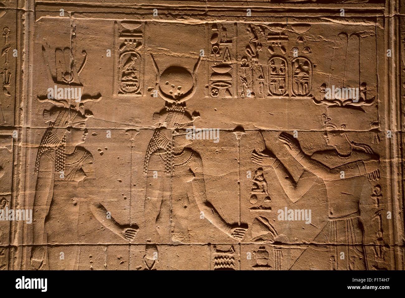 Parete decorativa rilievi, Tempio di Iside, isola di Philae, Sito Patrimonio Mondiale dell'UNESCO, Aswan, Egitto, Africa Settentrionale, Africa Foto Stock