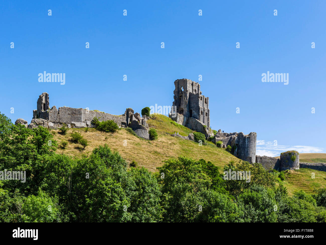 Le rovine di Corfe Castle, Isle of Purbeck, Dorset, England, Regno Unito Foto Stock