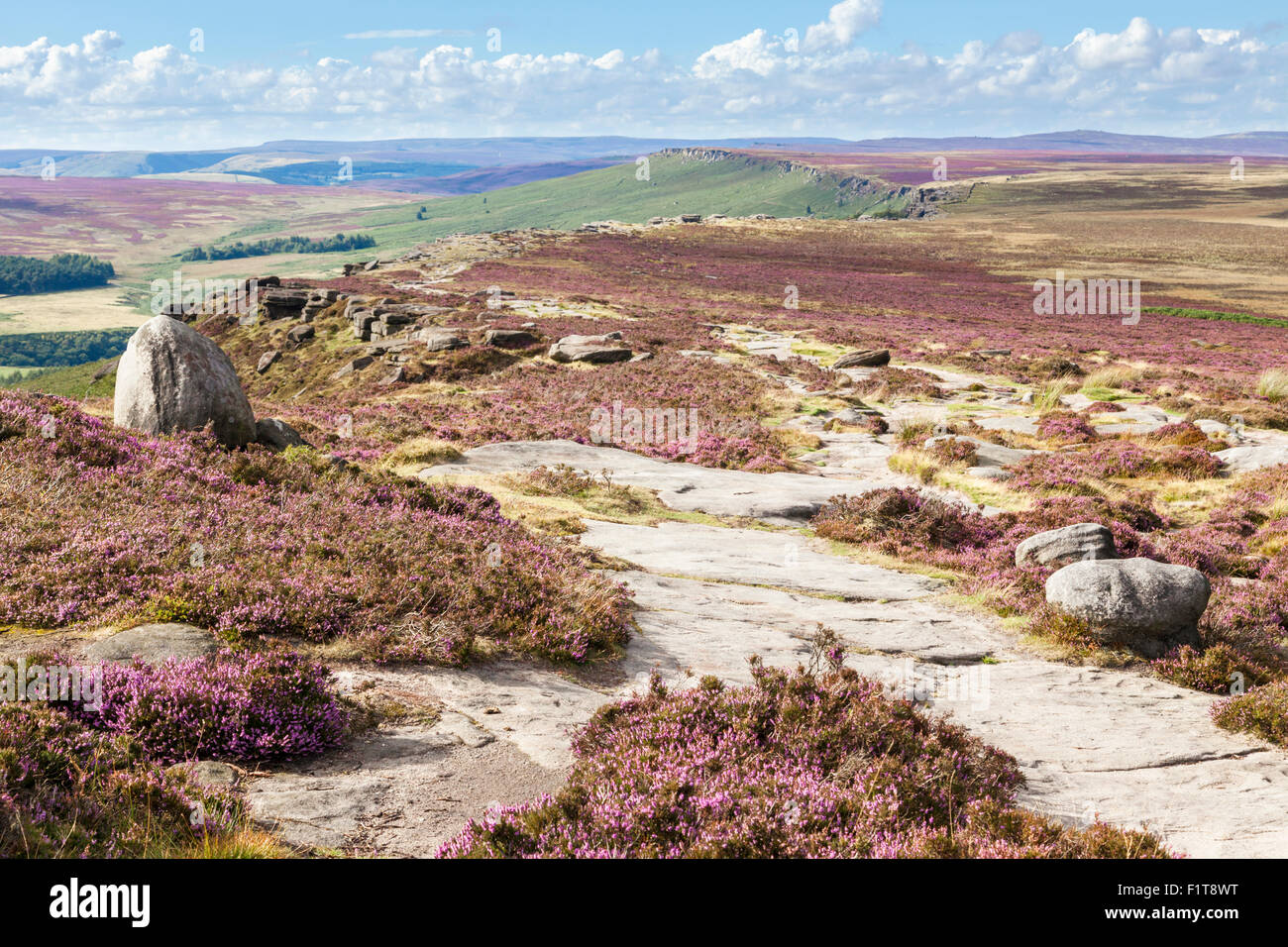 Guardando lungo la lunghezza del bordo Stanage, una scarpata gritstone del Derbyshire Yorkshire border, Peak District, England, Regno Unito Foto Stock