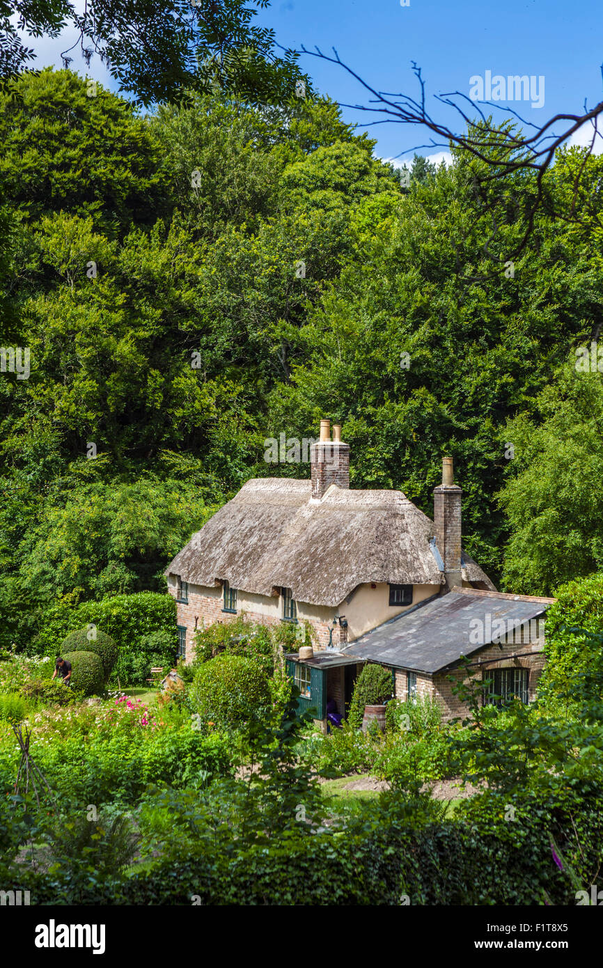 Hardy's Cottage, casa natale dello scrittore Thomas Hardy, Thorncombe legno, Bockhampton superiore, vicino a Dorchester Dorset, England, Regno Unito Foto Stock