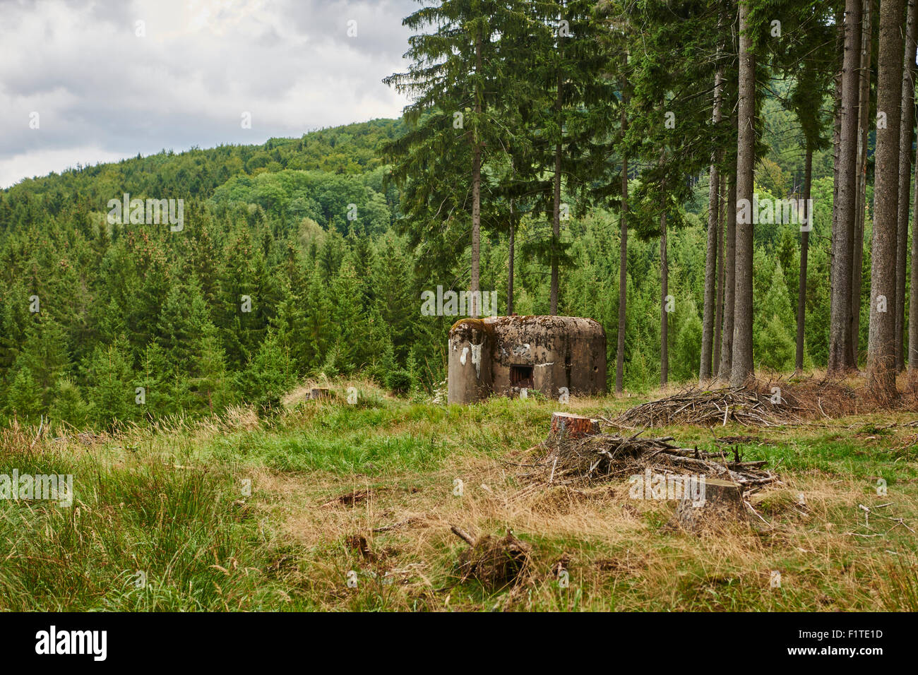 Ropik bunker - Cecoslovacchia - Germania Confine fortificazioni Foto Stock