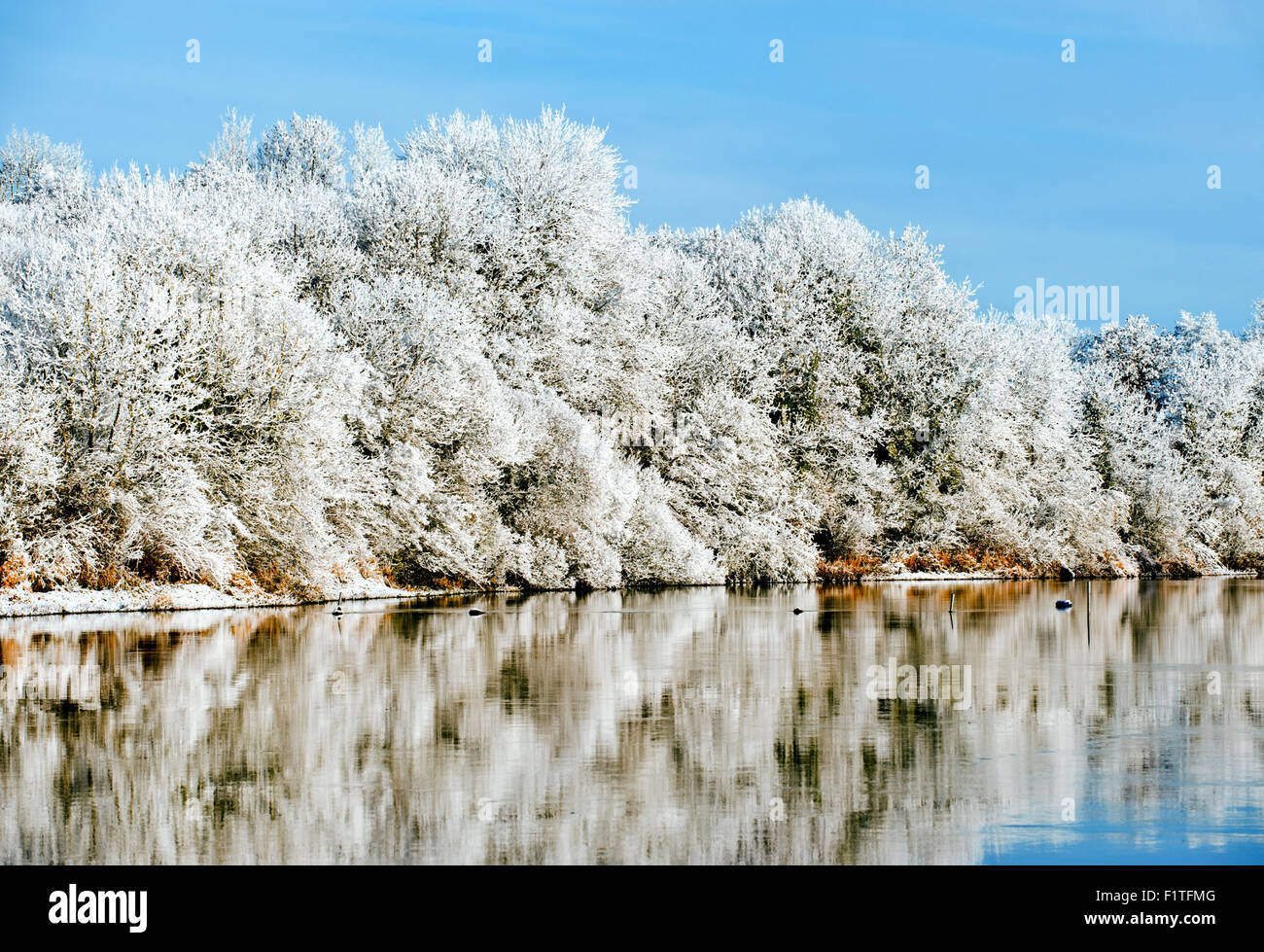 Bella giornata di sole in inverno sul fiume Erne, Co. Cavan , Ireland Foto Stock